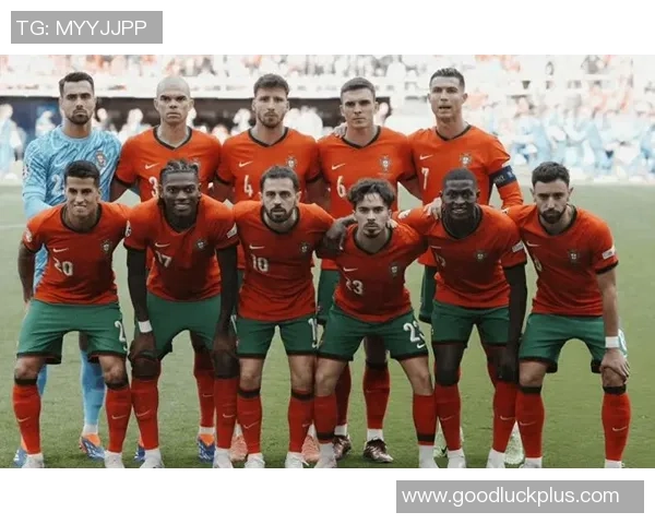 斯洛文尼亚足球明星盘点及其在国际赛场上的表现分析