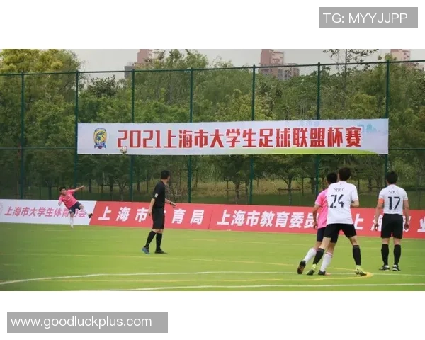 上海排球队在联合会杯中的崛起与突破之路全景回顾