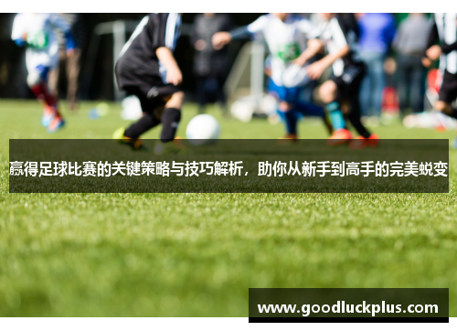 赢得足球比赛的关键策略与技巧解析，助你从新手到高手的完美蜕变